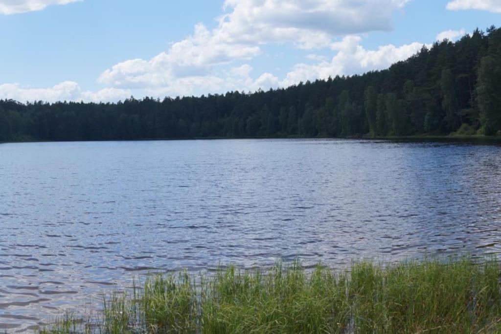 Domek Nad Jeziorem Kaszuby Max 6 Os Bieszkowice المظهر الخارجي الصورة